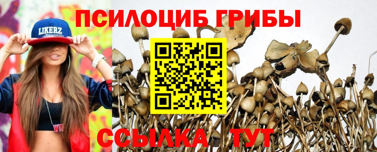 МЕФ   Канабис  Вход с VPN  Ишим  ЭКСТАЗИ  ГАШИШ  A PVP СОЛЬ  