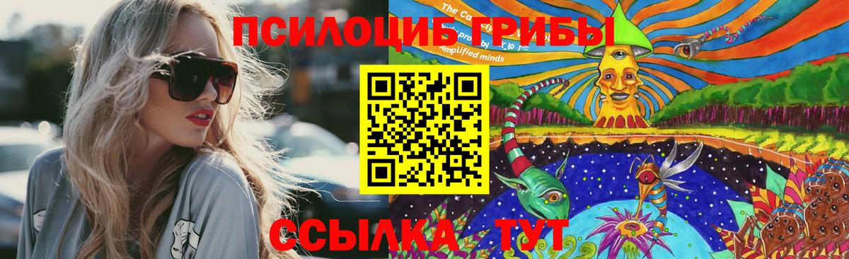 Галлюциногенные грибы прущие грибы Ишим